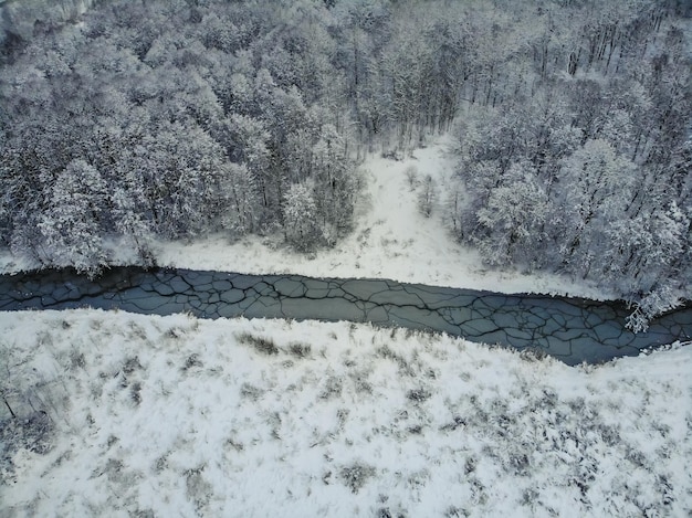 Floresta nevada e rio curvilíneo na planície no inverno vista aérea da natureza no inverno