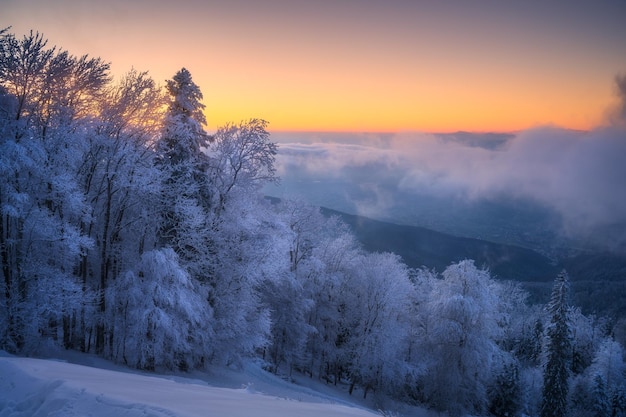 Floresta nevada em hoar e nuvens baixas no belo inverno ao nascer do sol Paisagem colorida com árvores na neve céu laranja Queda de neve em bosques de montanha Floresta invernal Floresta coberta de neve ao amanhecer Natureza