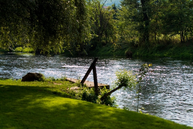 Floresta Rio Bosna