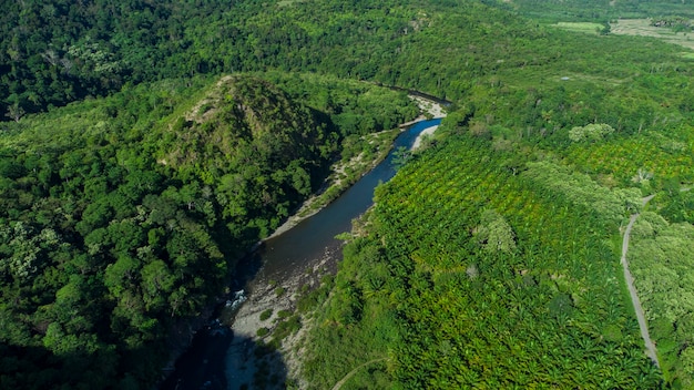 Floresta tropical no distrito de aceh besar, província de aceh