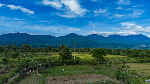 Floresta tropical no distrito de Aceh Besar, província de Aceh