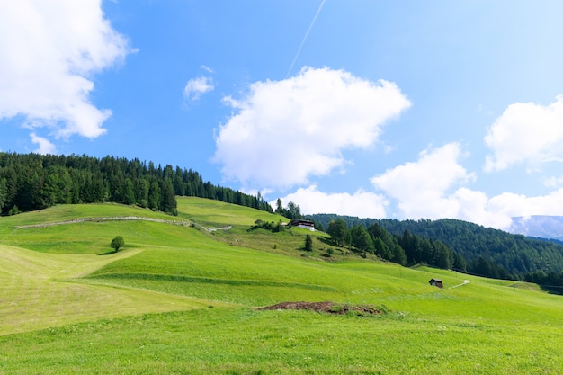 Floresta verde e montanhas Dobbiaco