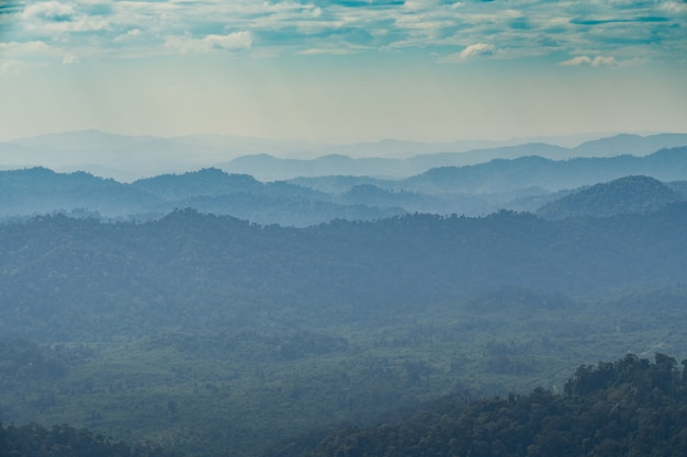 Florestas e montanhas.