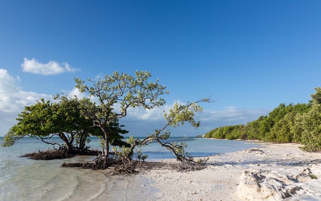 Florida Keys Anne's Beach