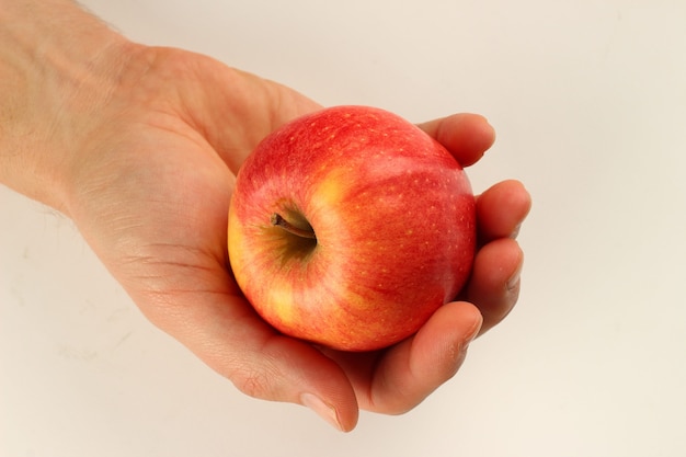 Florina de maçã vermelha em mãos sobre um fundo branco
