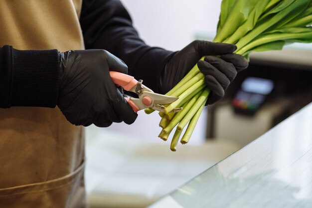 Florist Mädchen schneidet die Spitzen der weißen Tulpen in einem Blumenladen