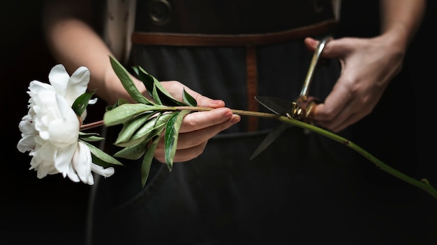 Florista cortando o caule de uma flor branca