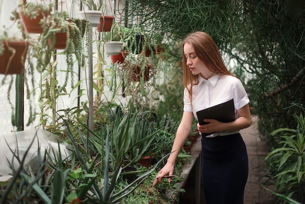 Florista cuida das flores da casa em estufa