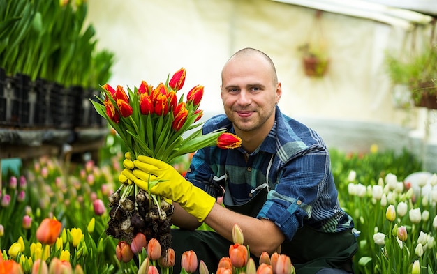 Florista de jardineiro sorridente segurando um buquê de flores em uma estufa onde as tulipas cultivam