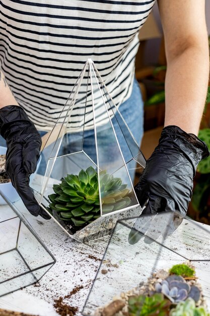 Florista feminina arranjo de plantas naturais suculentas em florário de vidro sobre decoração de pedras closeup