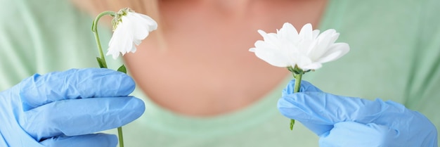 Florista jovem segurando camomila em luvas azuis protetoras