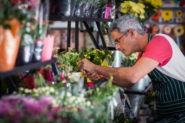 Florista masculina verificando flores