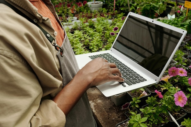 Florista recebendo pedidos on-line no laptop