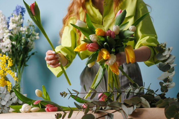 Una florista recoge un ramo de flores de tulipán de primavera en un fondo azul limpio