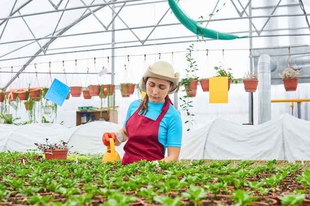 Florista regando plantas de interior no jardim de inverno