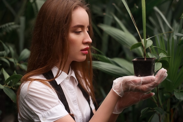 Foto florista trabalhando com planta de casa em vaso