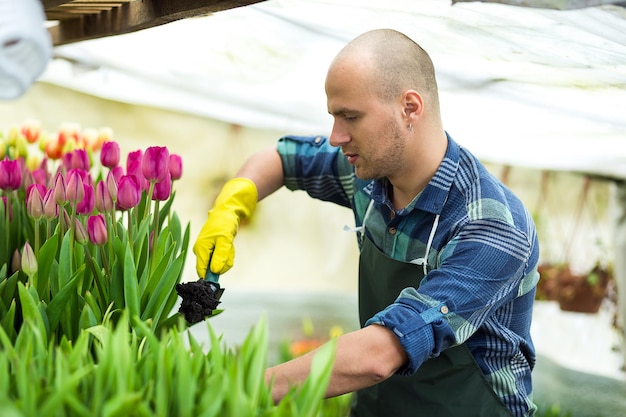 Floristas hombre jardinero con herramientas de jardín en el invernadero