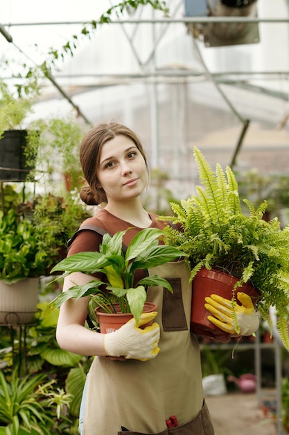 Floristería con plantas de interior en la tienda.