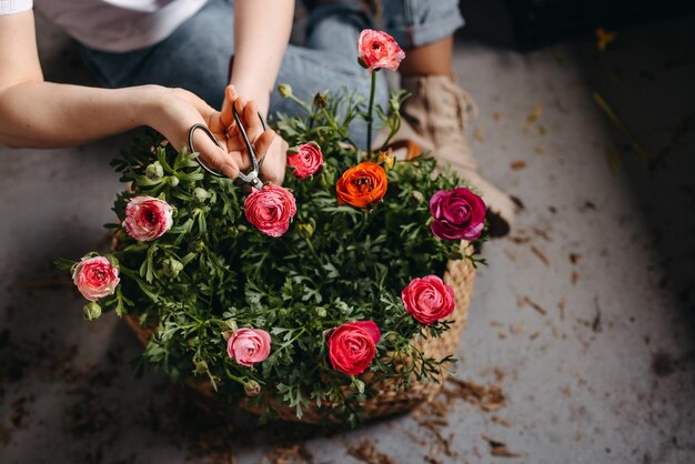 Foto floristin arbeitet in einem blumenladen. frau kümmert sich mit einer metallischen schere in nahaufnahme um rosa blumen