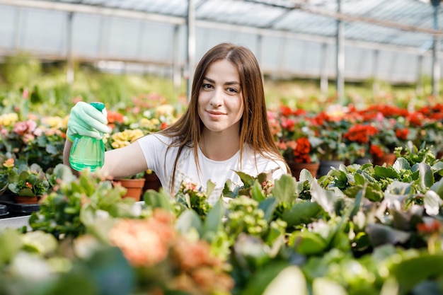 Floristin der jungen Frau, die Wasser auf Zimmerpflanzen in Blumentöpfen mit einem Sprühgerät sprüht Nahaufnahme der Gärtnerin streut Blumen mit einer Sprühflasche