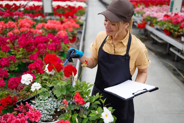 Floristin mit Klemmbrett, die Blumenprodukte im Gewächshaus inspiziert