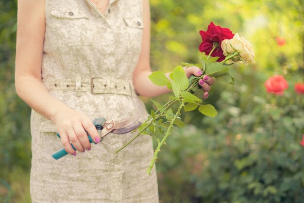 Floristin schneidet im Garten Blumenrosen mit einer Schere, um einen Strauß zu machen