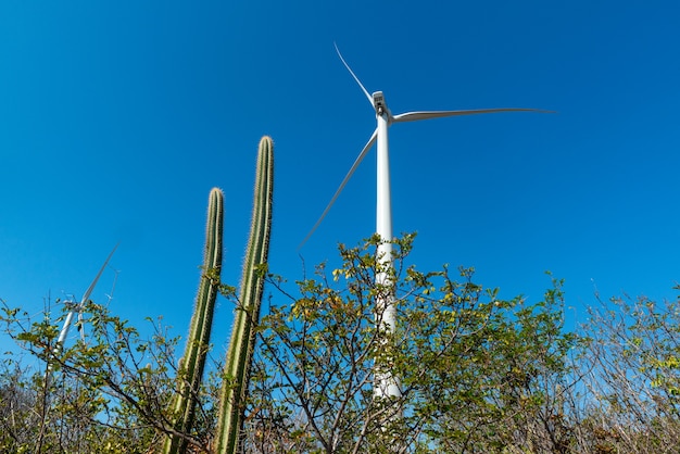 Floß im Meer und Windkraftanlagen in Aracati in der Nähe von Fortaleza Ceara Brasilien