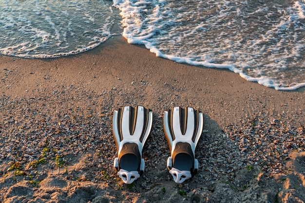 Flossen im Sand vom Meer gewaschen