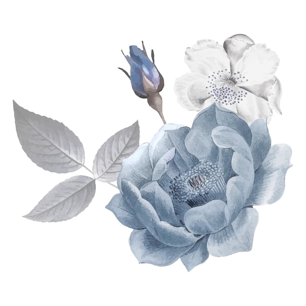 Flower png sticker Ilustración antigua de fondo transparente