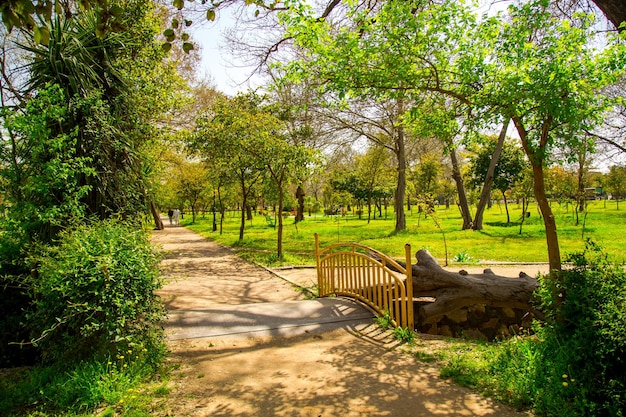 Flucht in die üppige Ruhe der grünen Parks von Islamabad