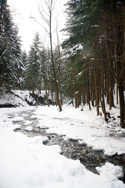 Flüsse im Winter mit Schnee und Eis