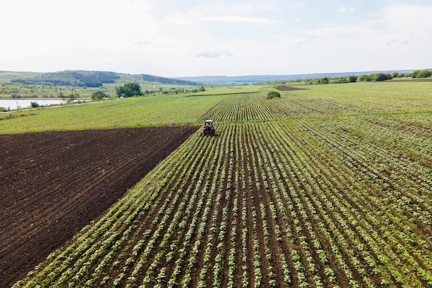 Flug der Drohne über das grüne Weizenfeld und über einen Traktor, der in der landwirtschaftlichen Flächenbearbeitung mit moderner Luftbildtechnik arbeitet