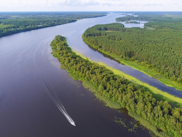 Flug über den Fluss Fluss im Wald aus der Vogelperspektive Draufsicht