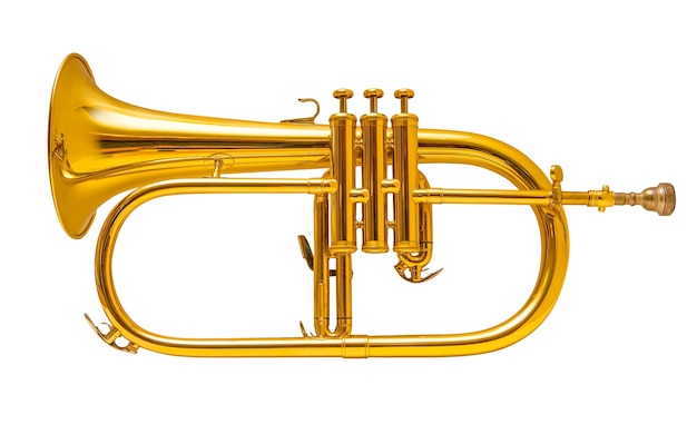 Flugelhorn aislado en blanco. trompeta.