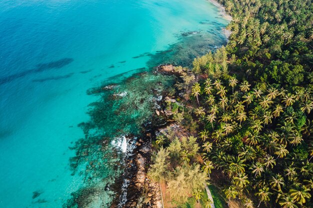 Flugstrand und Kokosnussbäume auf einer ruhigen Insel am Morgen