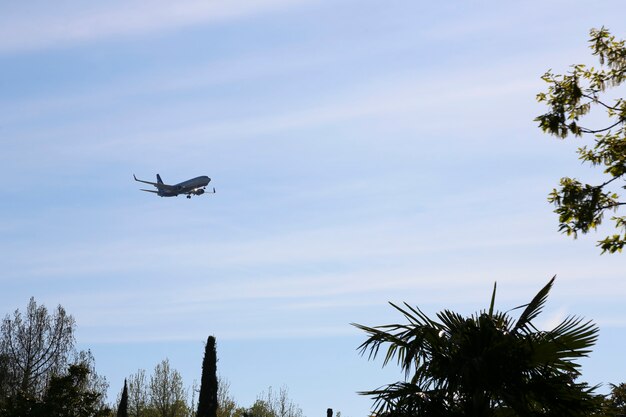 Flugzeuge nähern sich am Finale über einer tropischen Insel ein Flugzeug in einem blauen Himmel in der Nähe eines Astes