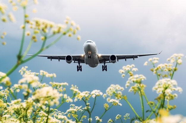 Flugzeugpassagierlandung am Flughafen, die Aussicht mit Blumen.