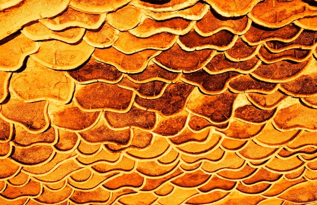 Fluido y orgánico Supremo color naranja Abstracto de fondo para diseños únicos