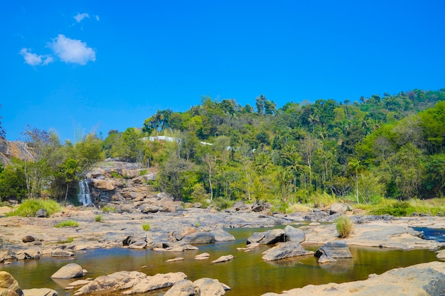 Flujo de agua entre piedras de río