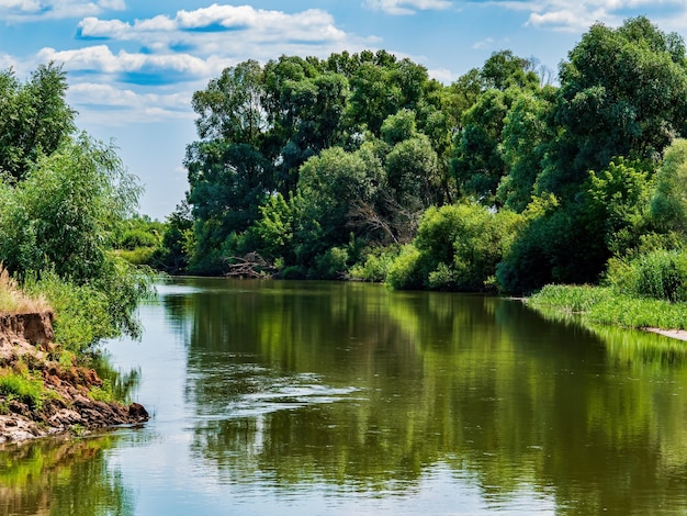 Flujo de agua del río a lo largo de la orilla escarpada