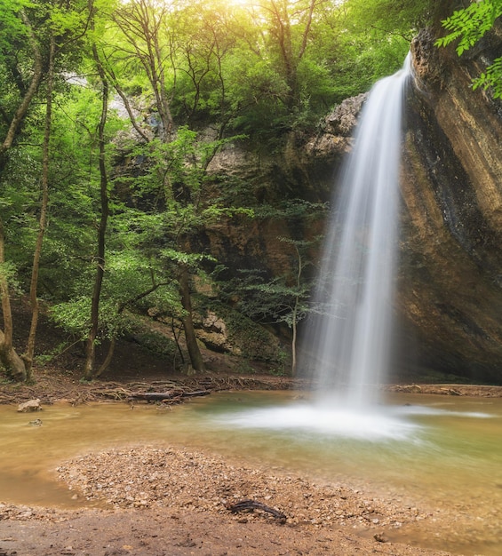 Flujo de cascada de primavera