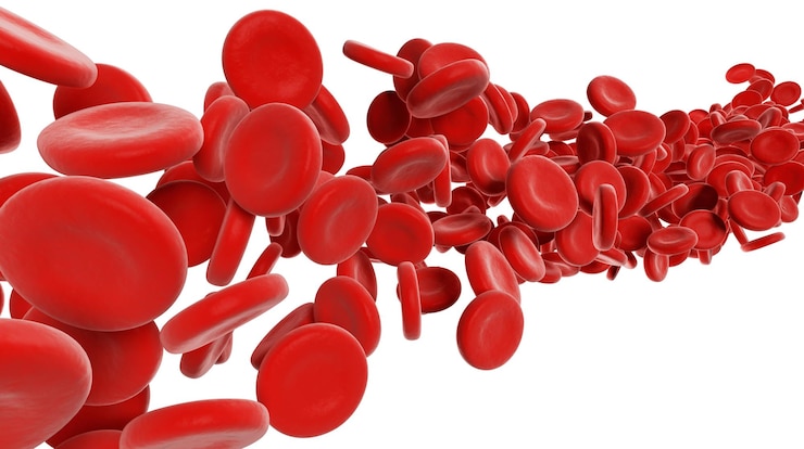 Foto flujo de glóbulos rojos aislado sobre renderizado 3d de fondo blanco