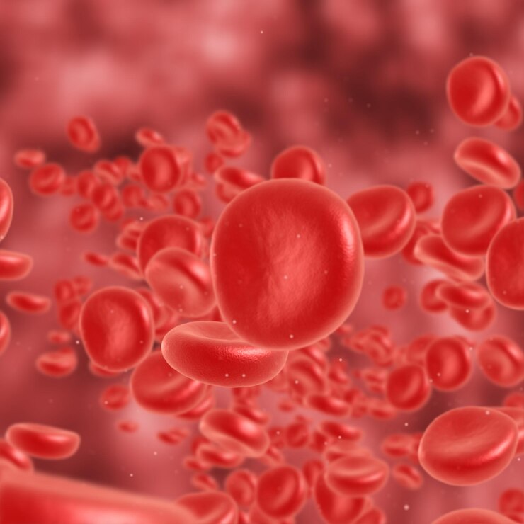 Foto flujo de glóbulos rojos