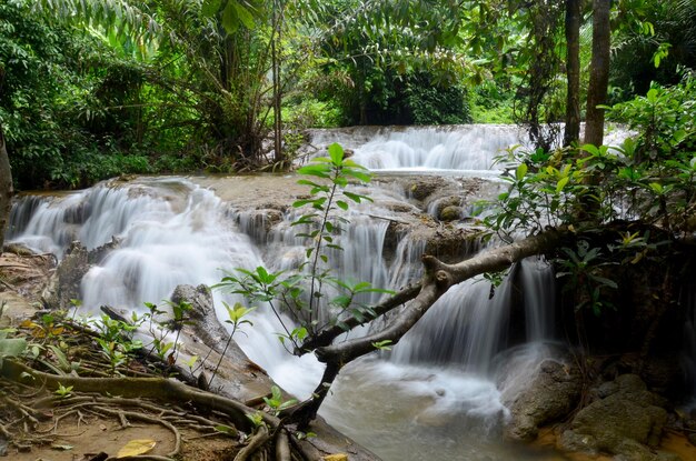 Flujo y movimiento de la cascada Kroeng Krawia en Sangkhlaburi en Kanchanaburi Tailandia