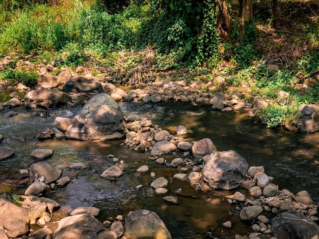 el flujo de un pequeño río en el bosque lleno de rocas