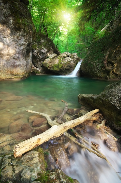 Flujo de riachuelo de primavera. Composición de la naturaleza.