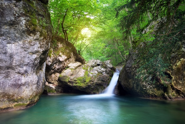 Flujo de riachuelo de primavera.