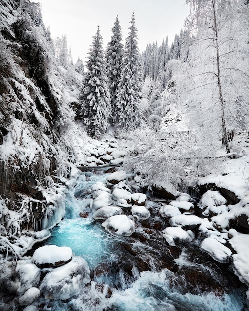 Fluss am Winterwald in den Bergen