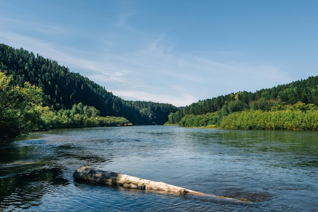 Fluss an einem sonnigen Sommertag