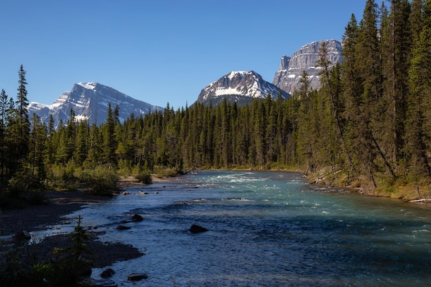 Fluss, der an einem sonnigen Sommertag durch die kanadischen Rocky Mountains fließt